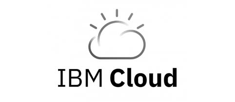 IBM cloud partner logo Startup Accelerator